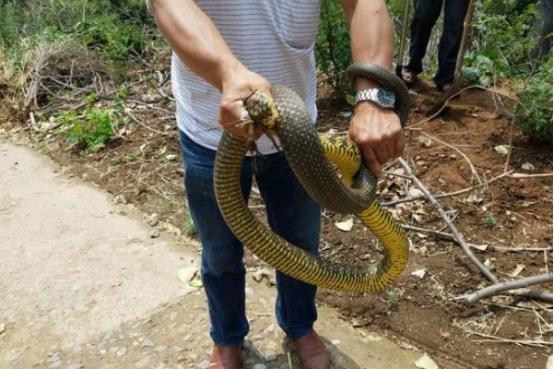 河南，千年古都，中原文化新篇章